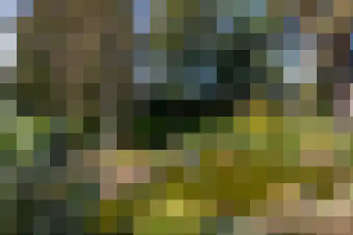 Hunnenweg 10 11 Voorthuizen thumbnail 30