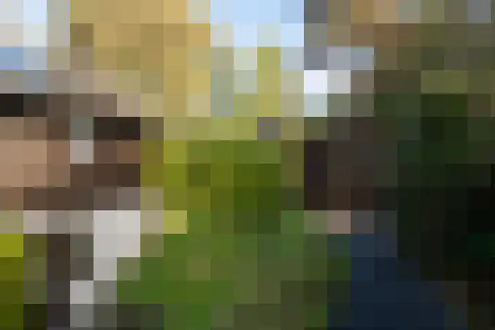 Hunnenweg 10 11 Voorthuizen thumbnail 32