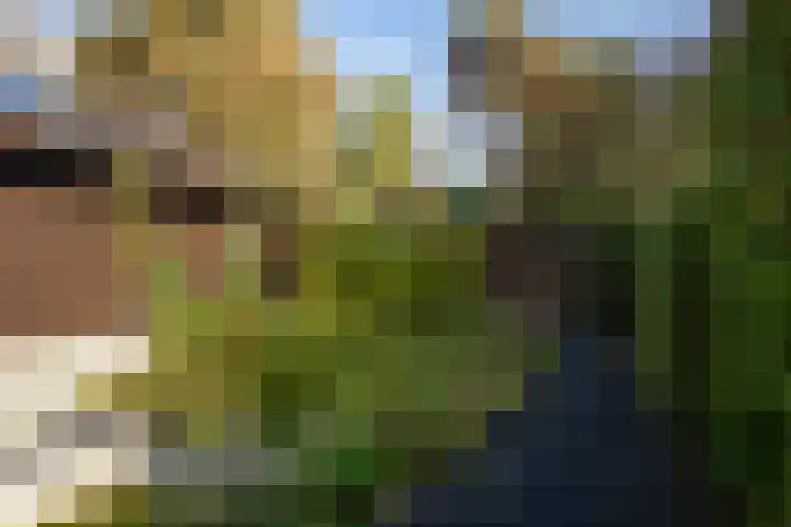 Hunnenweg 10 11 Voorthuizen thumbnail 33