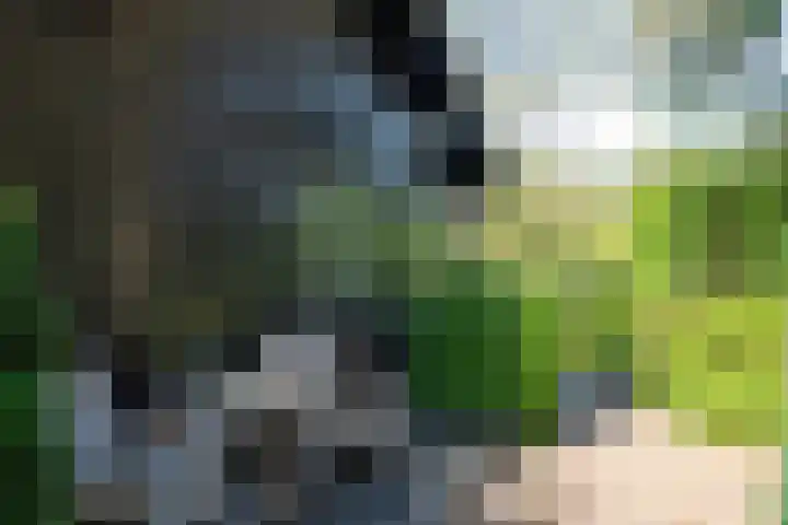 Hunnenweg 10 11 Voorthuizen thumbnail 34