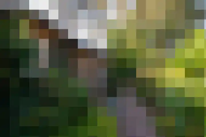 Hunnenweg 10 11 Voorthuizen thumbnail 35