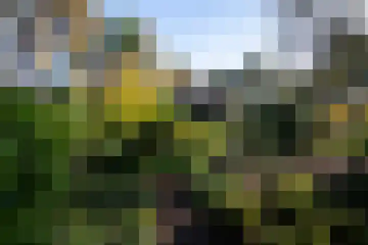 Hunnenweg 10 11 Voorthuizen thumbnail 37