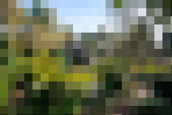 Hunnenweg 10 11 Voorthuizen thumbnail 41