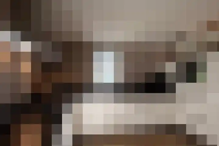 Hunnenweg 10 11 Voorthuizen thumbnail 5