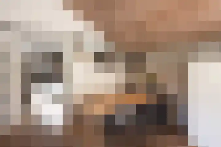 Hunnenweg 10 11 Voorthuizen thumbnail 6