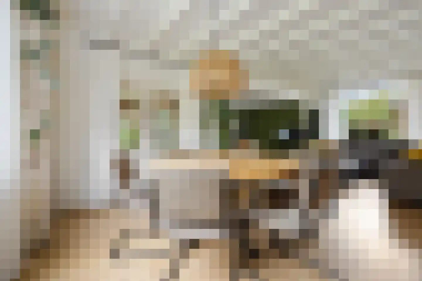 Hunnenweg 2 Voorthuizen thumbnail 10