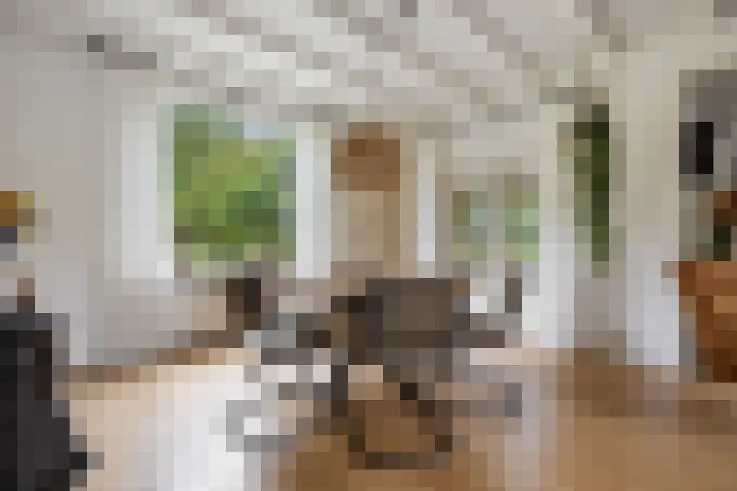 Hunnenweg 2 Voorthuizen thumbnail 12