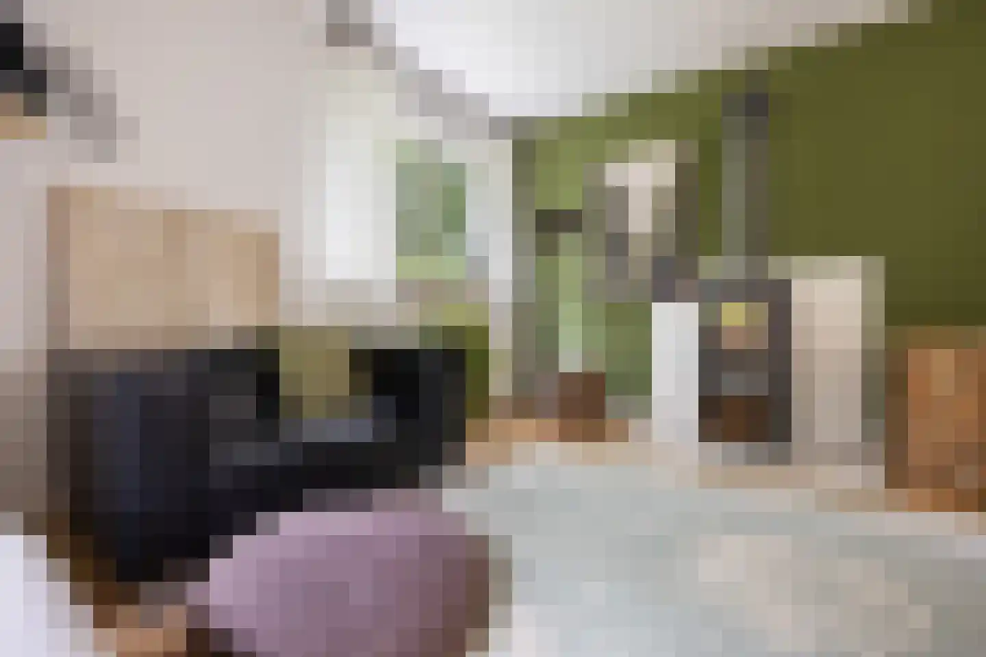 Hunnenweg 2 Voorthuizen thumbnail 14