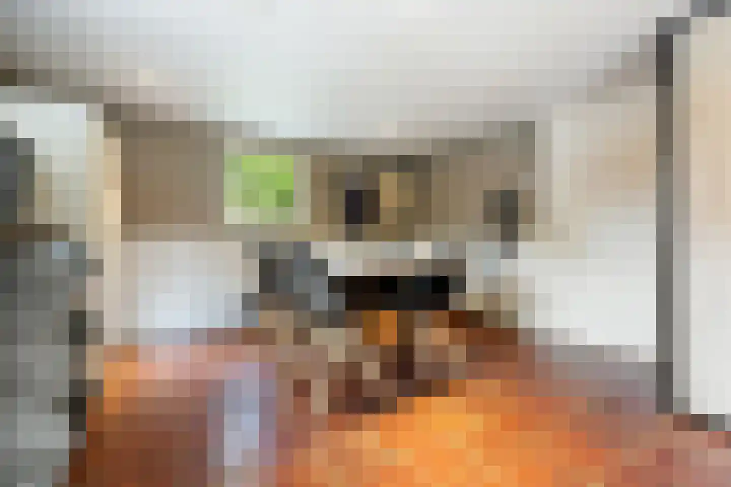 Hunnenweg 2 Voorthuizen thumbnail 19