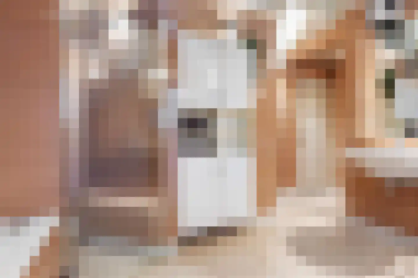 Hunnenweg 2 Voorthuizen thumbnail 25