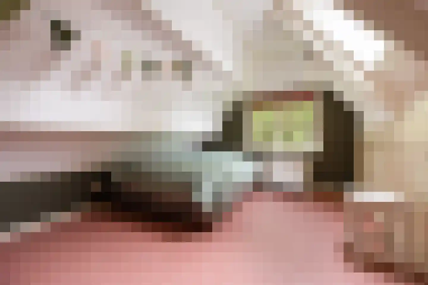 Hunnenweg 2 Voorthuizen thumbnail 28