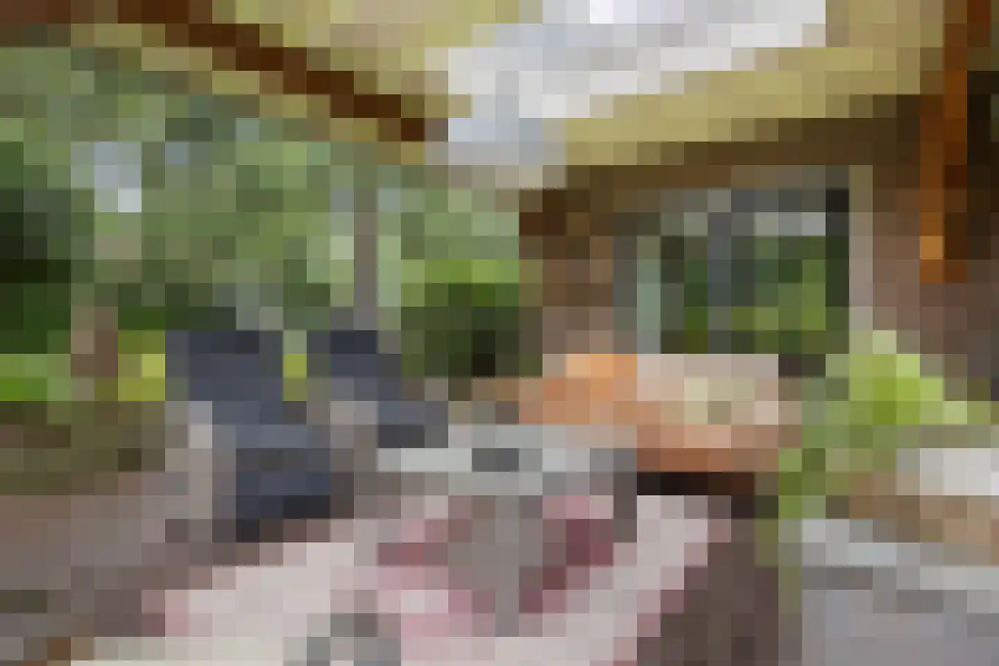 Hunnenweg 2 Voorthuizen thumbnail 4