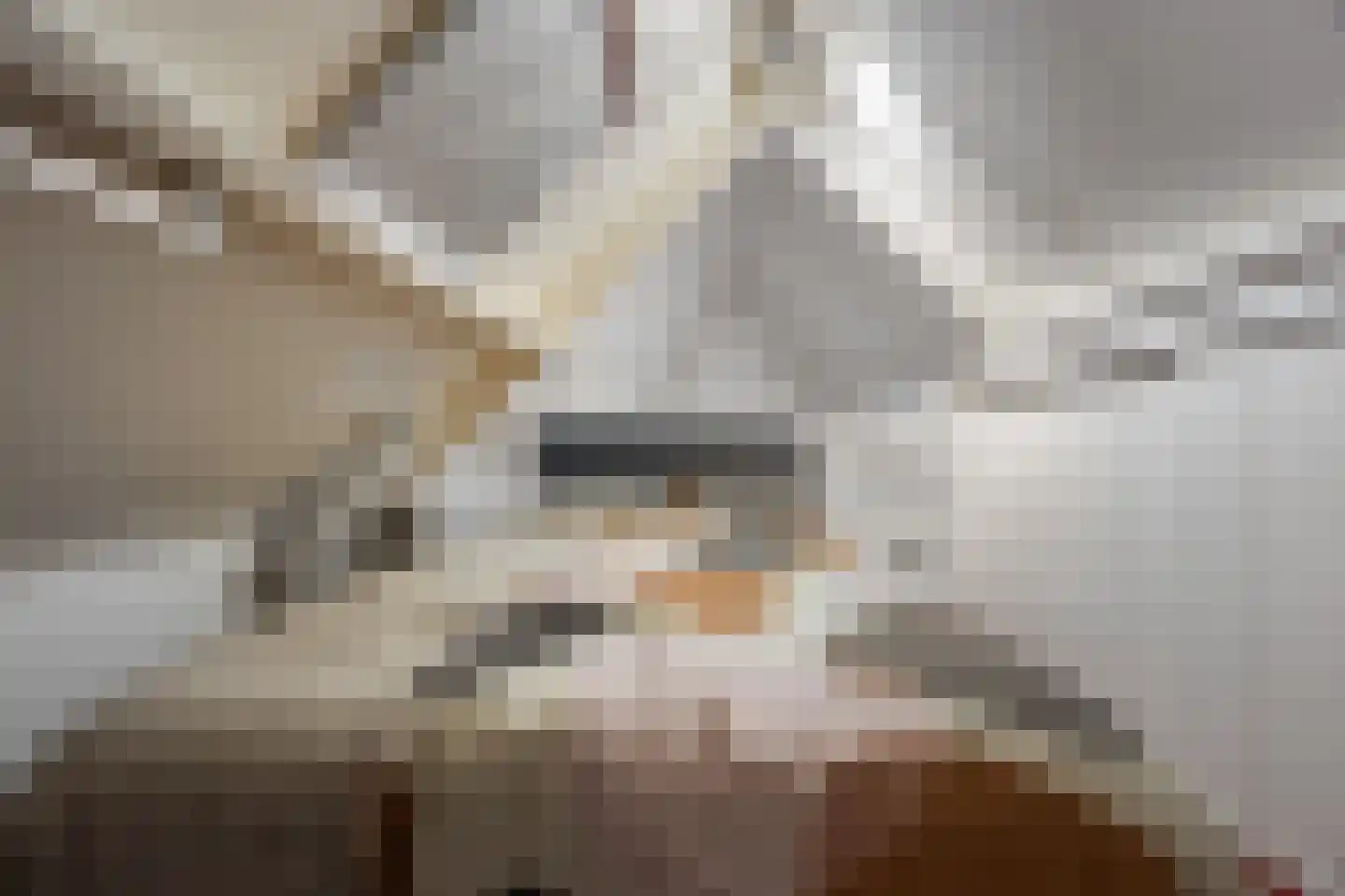 Hunnenweg 2 Voorthuizen thumbnail 41