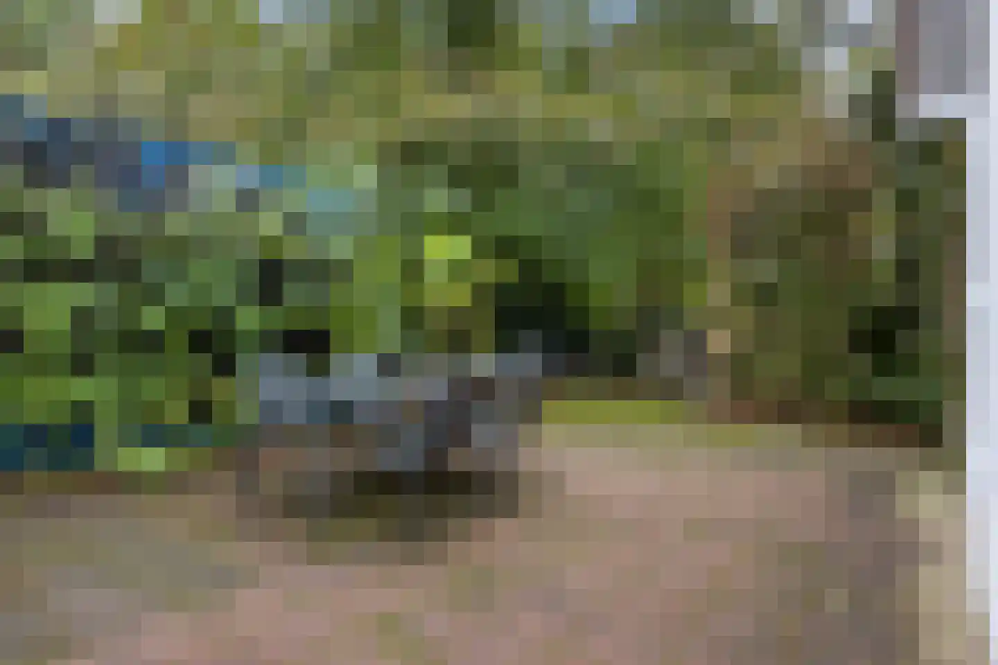 Hunnenweg 2 Voorthuizen thumbnail 42