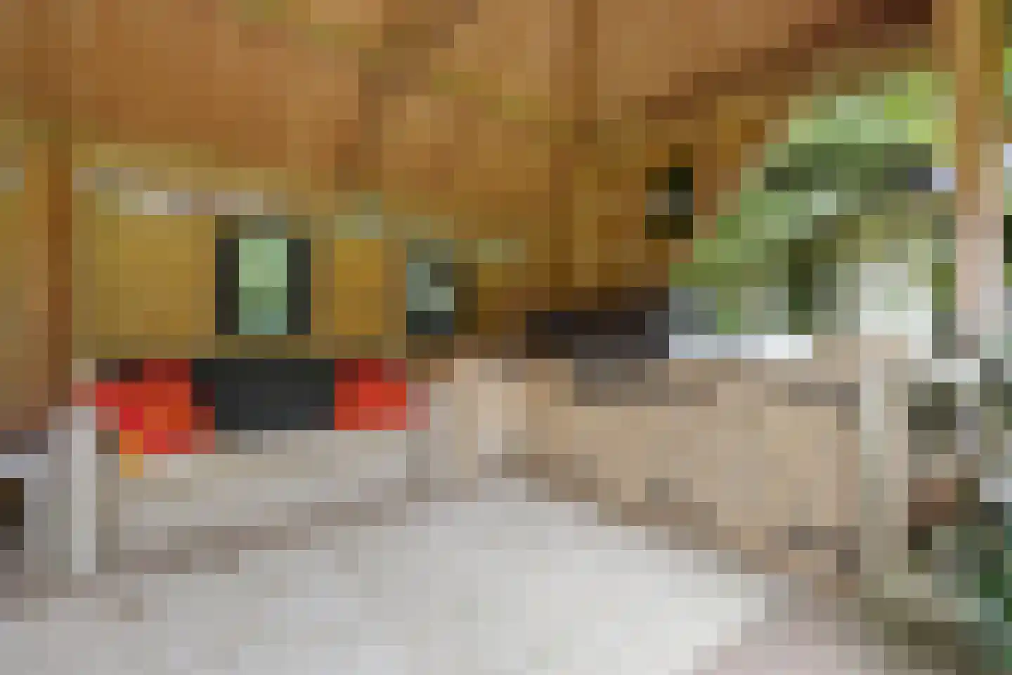 Hunnenweg 2 Voorthuizen thumbnail 48