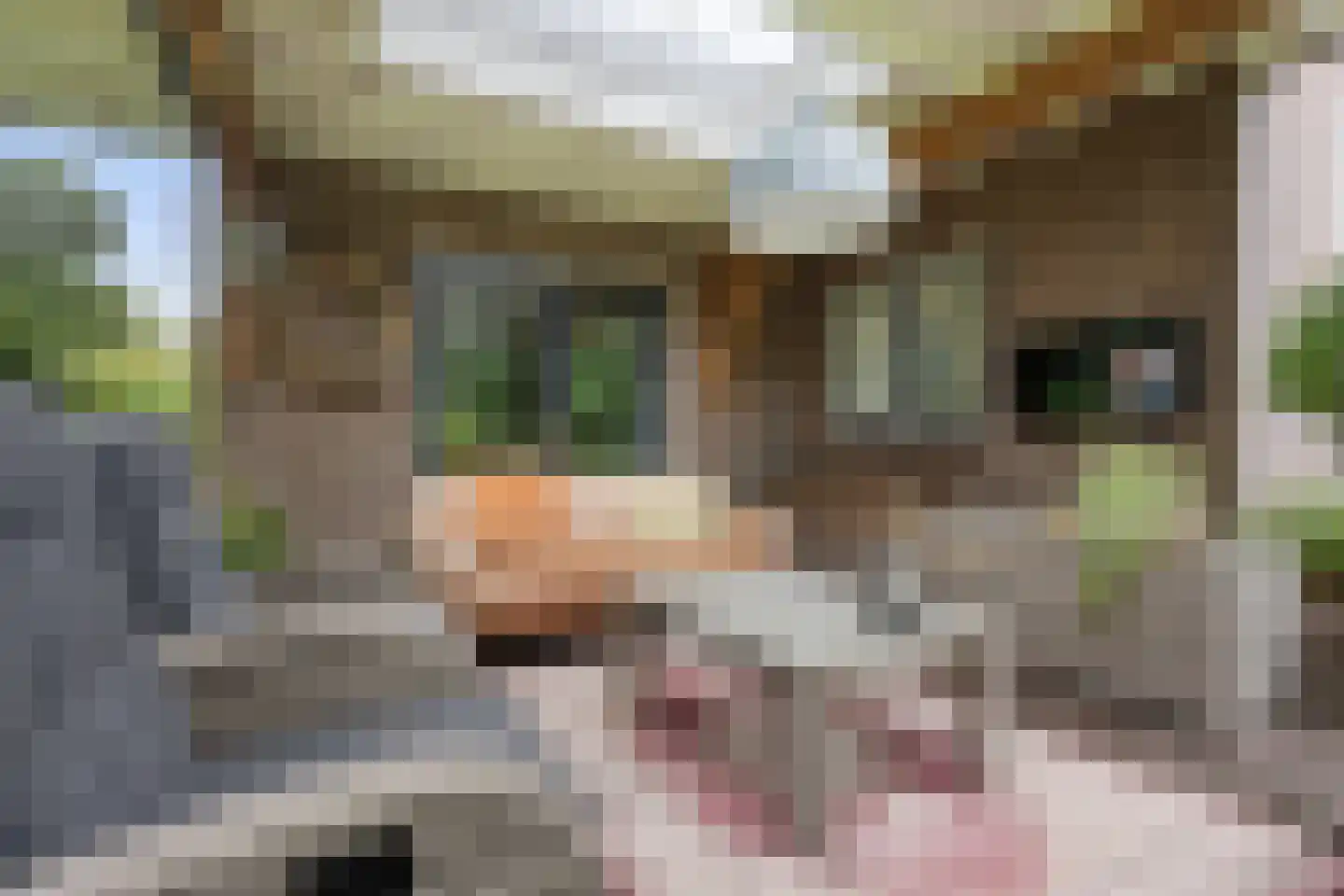 Hunnenweg 2 Voorthuizen thumbnail 51