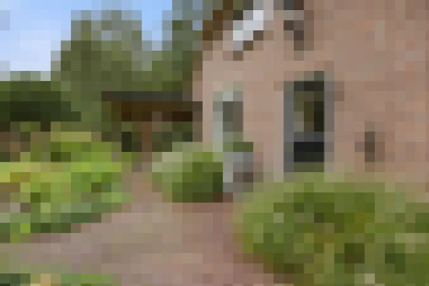 Hunnenweg 2 Voorthuizen thumbnail 52