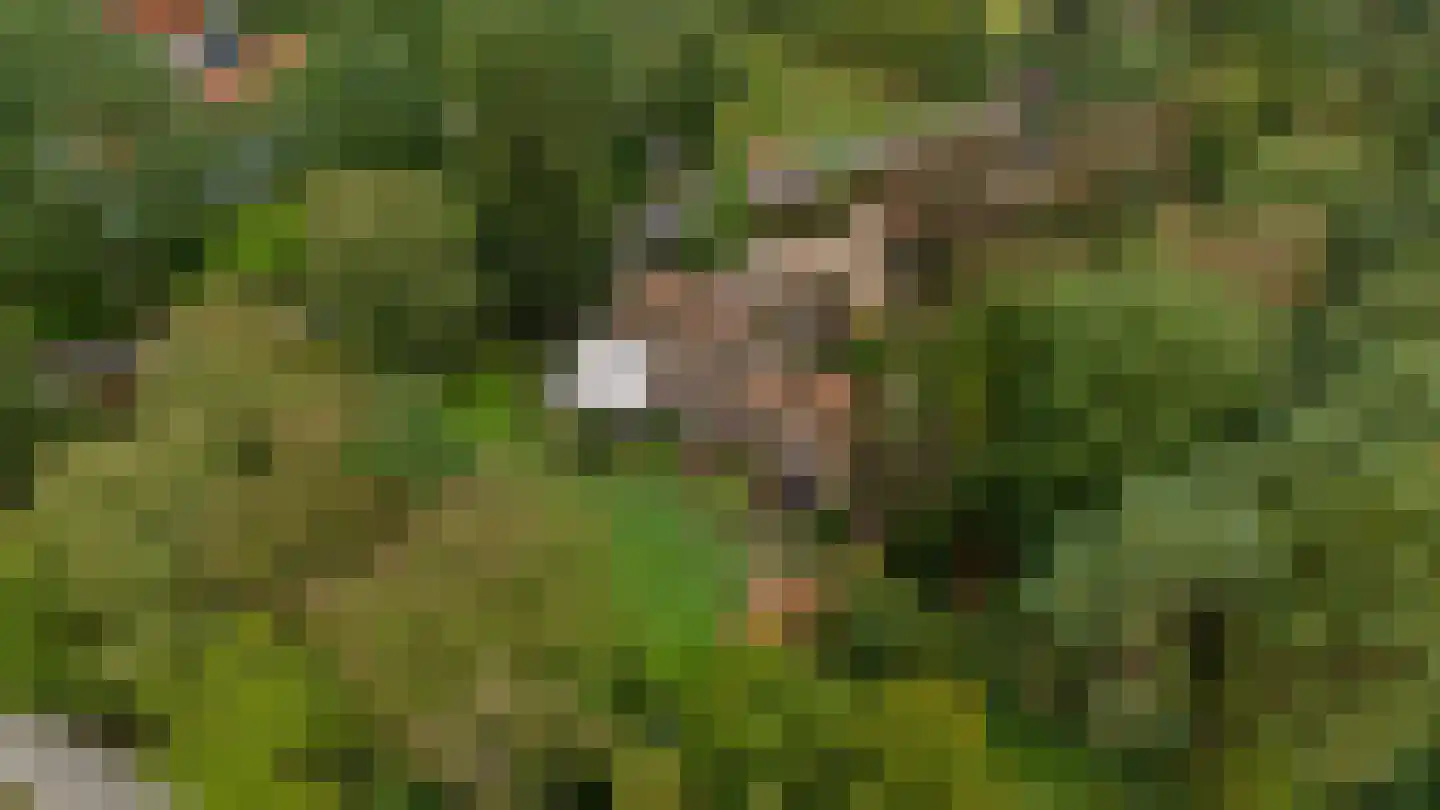 Hunnenweg 2 Voorthuizen thumbnail 59