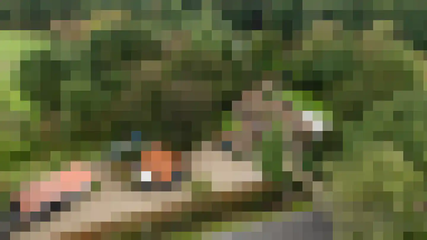 Hunnenweg 2 Voorthuizen thumbnail 6