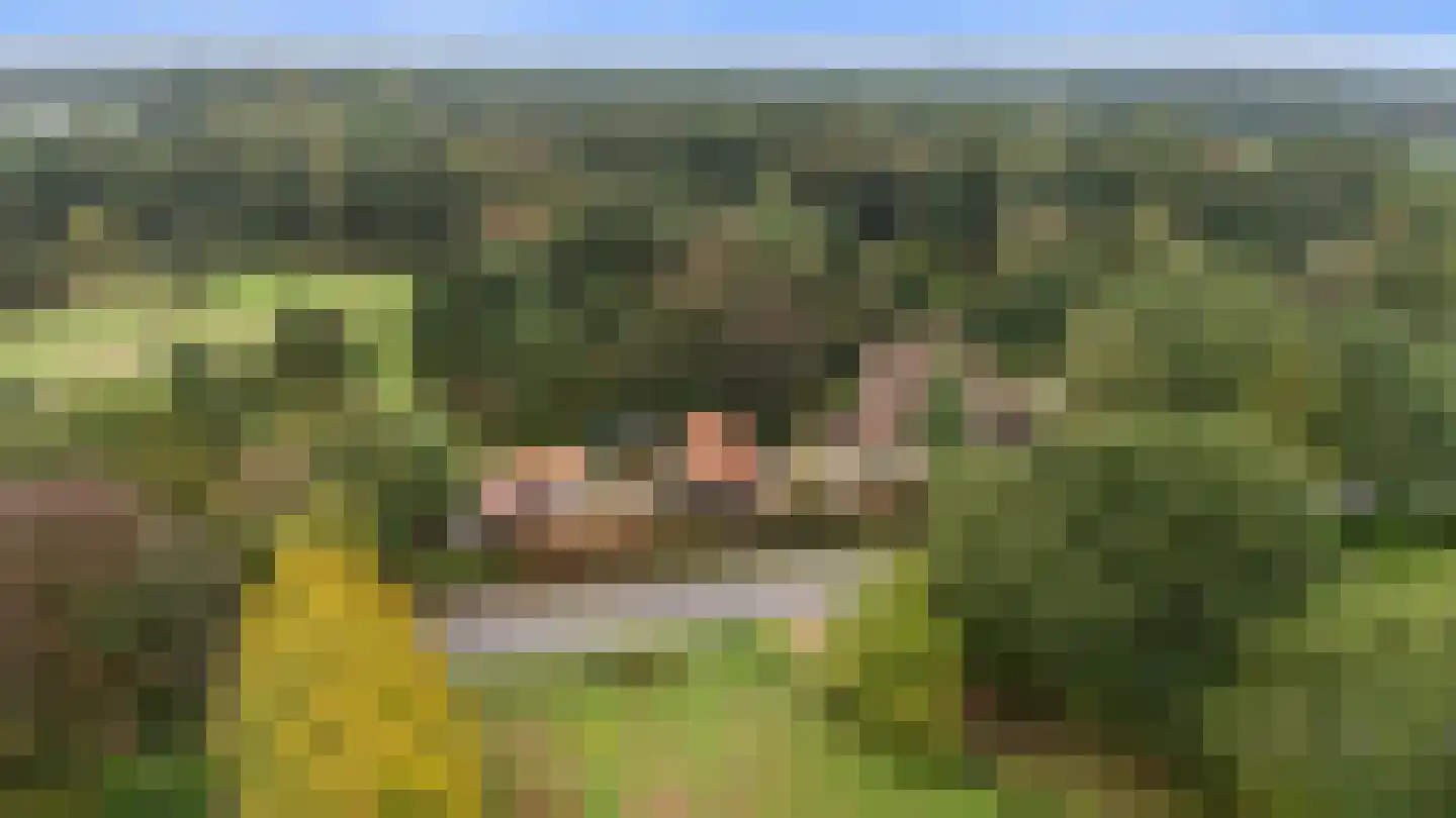 Hunnenweg 2 Voorthuizen thumbnail 62
