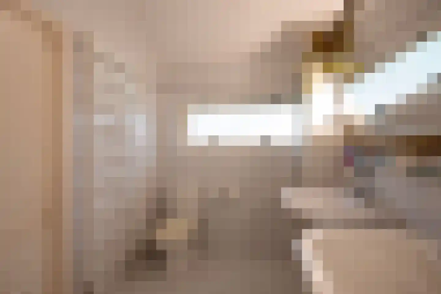 Hunnenweg 7 Voorthuizen thumbnail 11