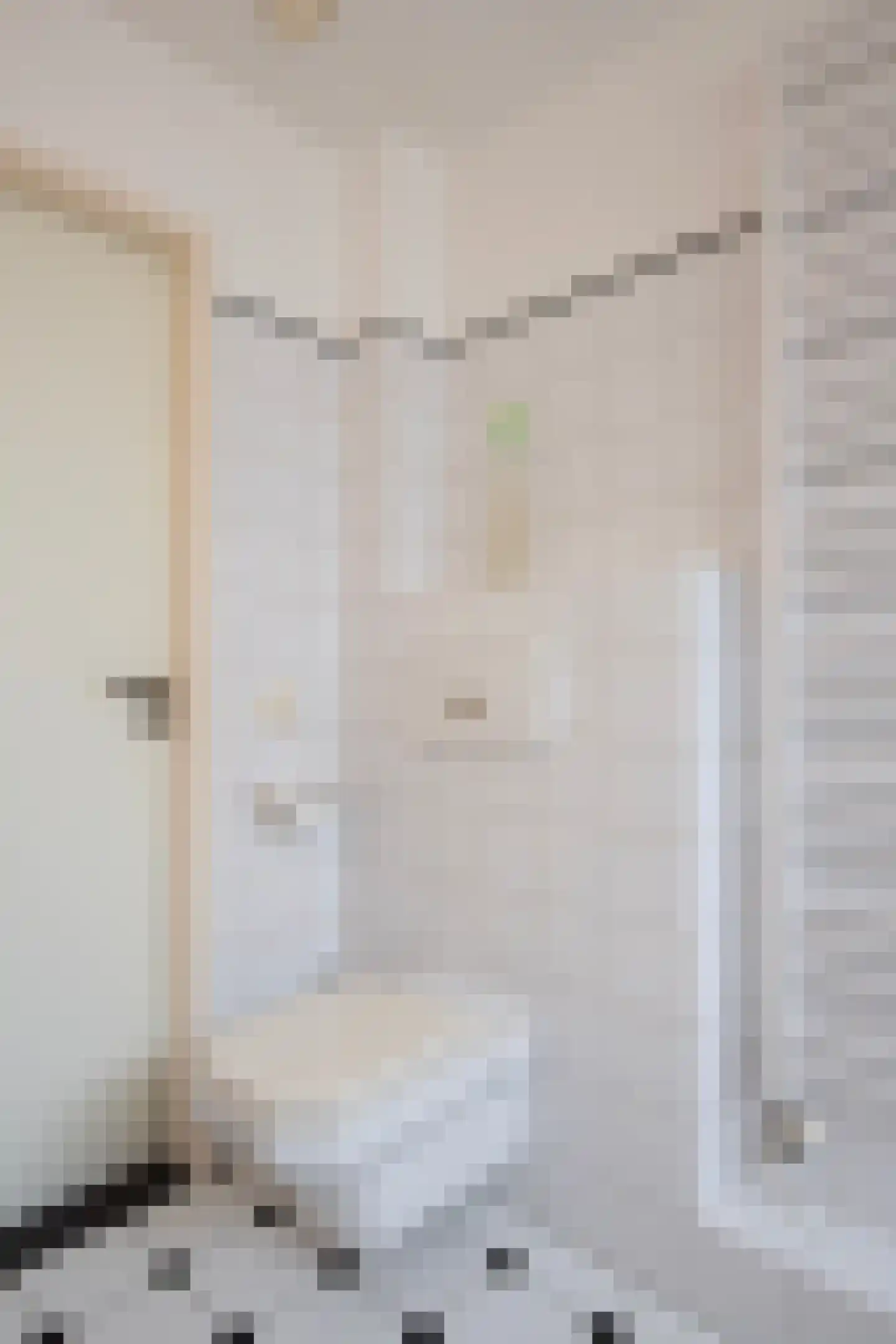 Hunnenweg 7 Voorthuizen thumbnail 17