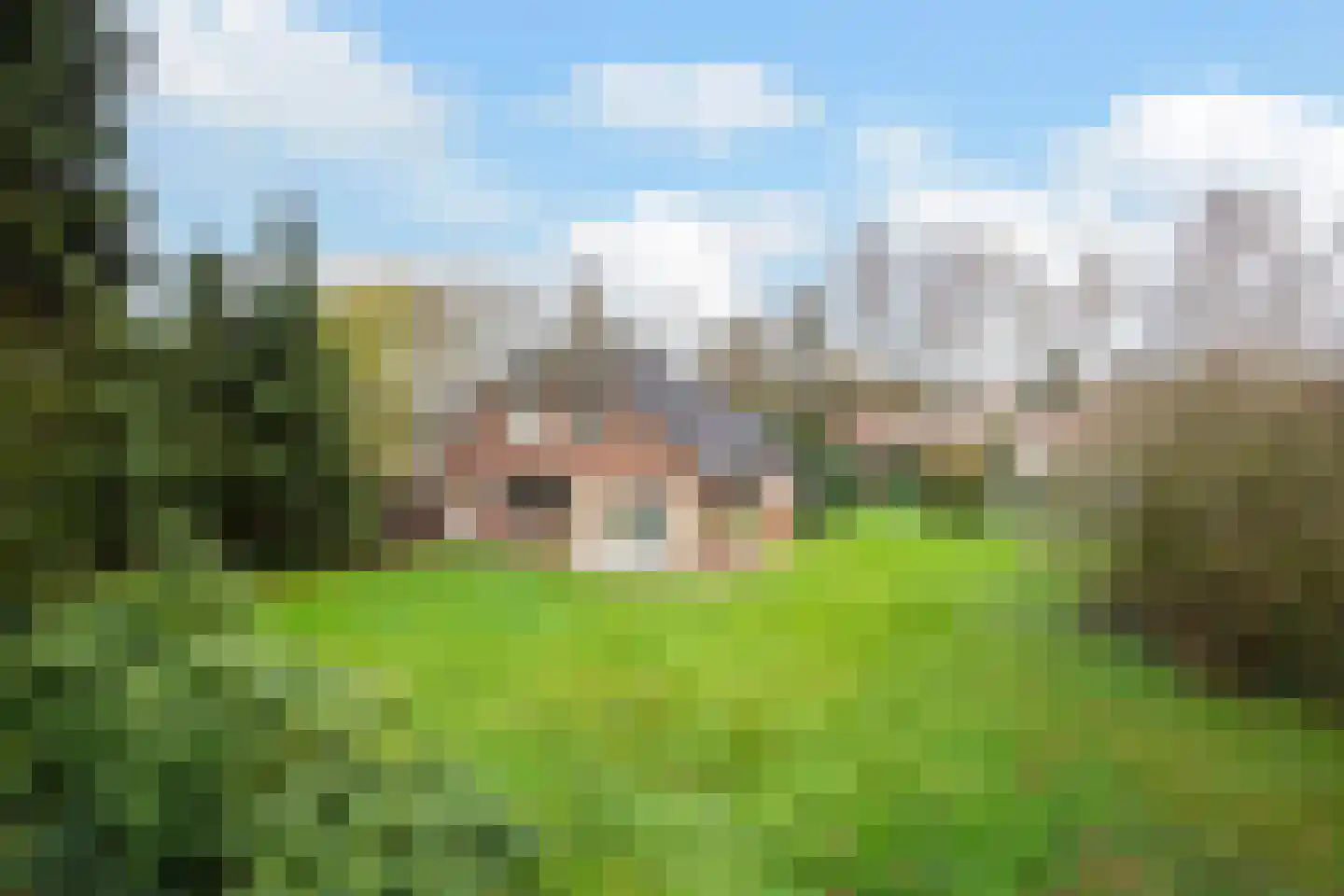 Hunnenweg 7 Voorthuizen foto 2