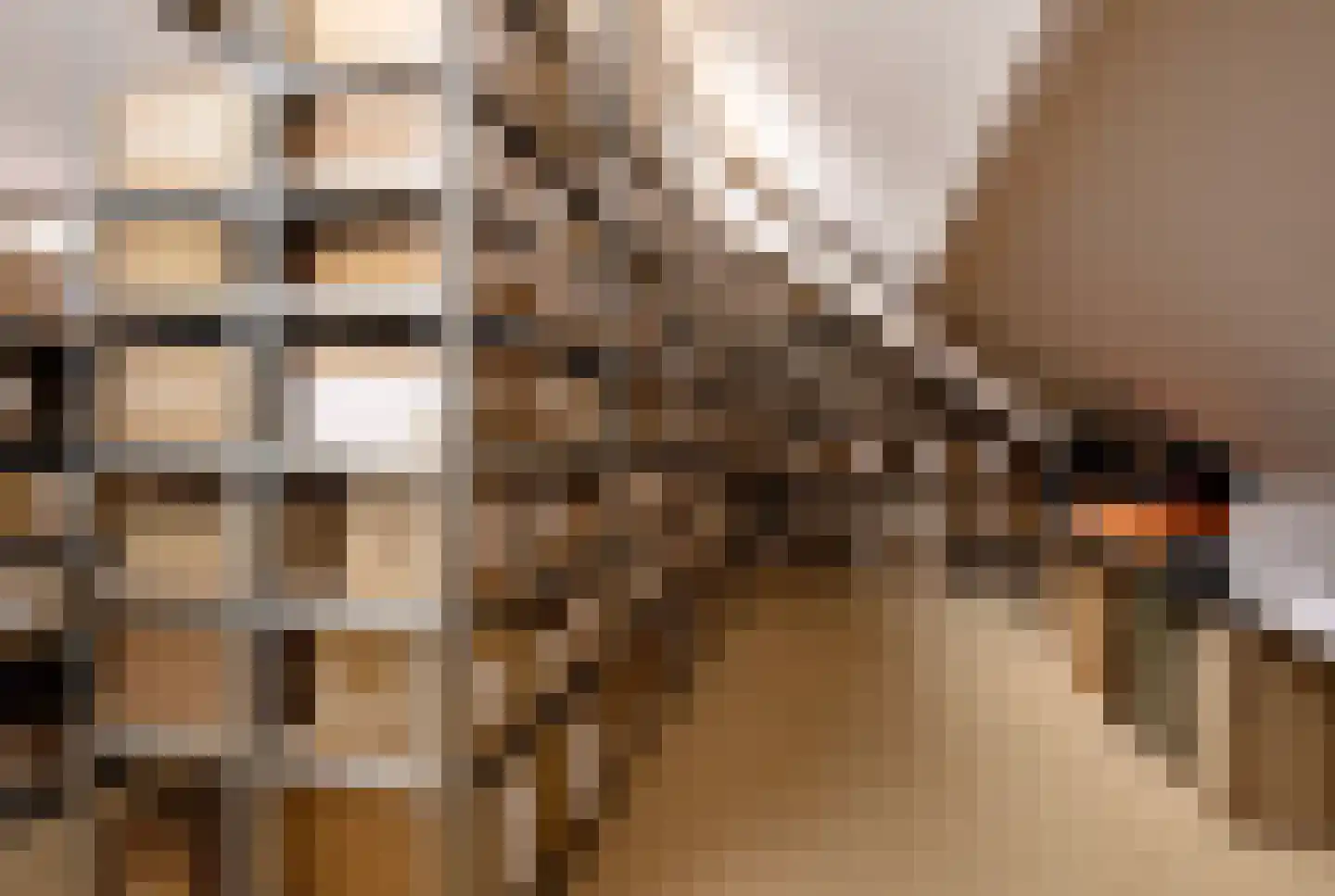 Hunnenweg 7 Voorthuizen thumbnail 33