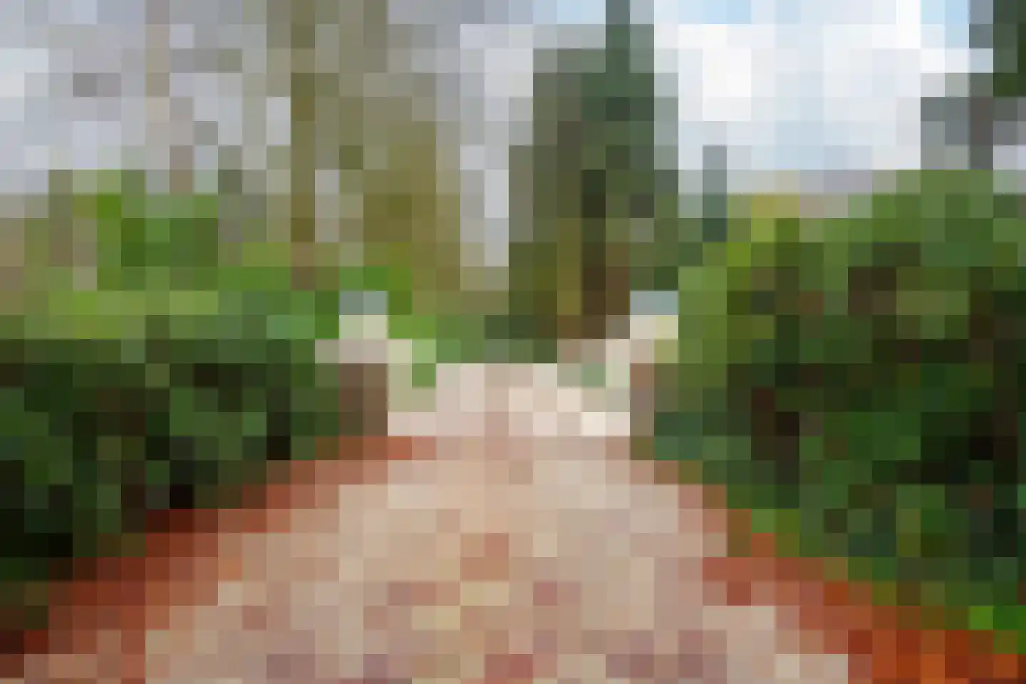 Hunnenweg 7 Voorthuizen thumbnail 38