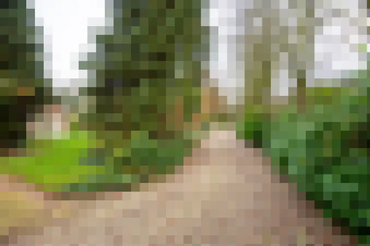 Hunnenweg 7 Voorthuizen thumbnail 39
