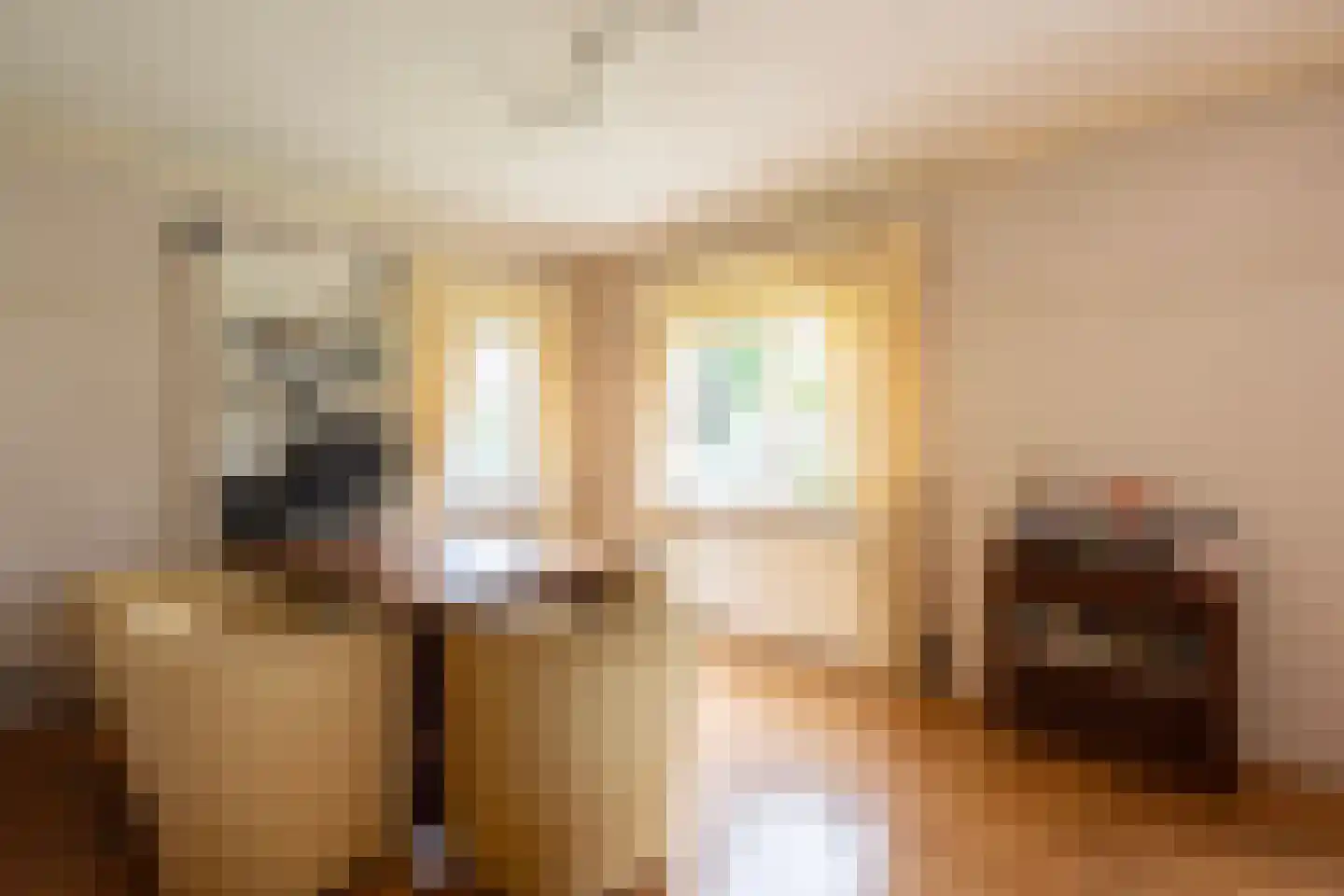 Hunnenweg 7 Voorthuizen thumbnail 6