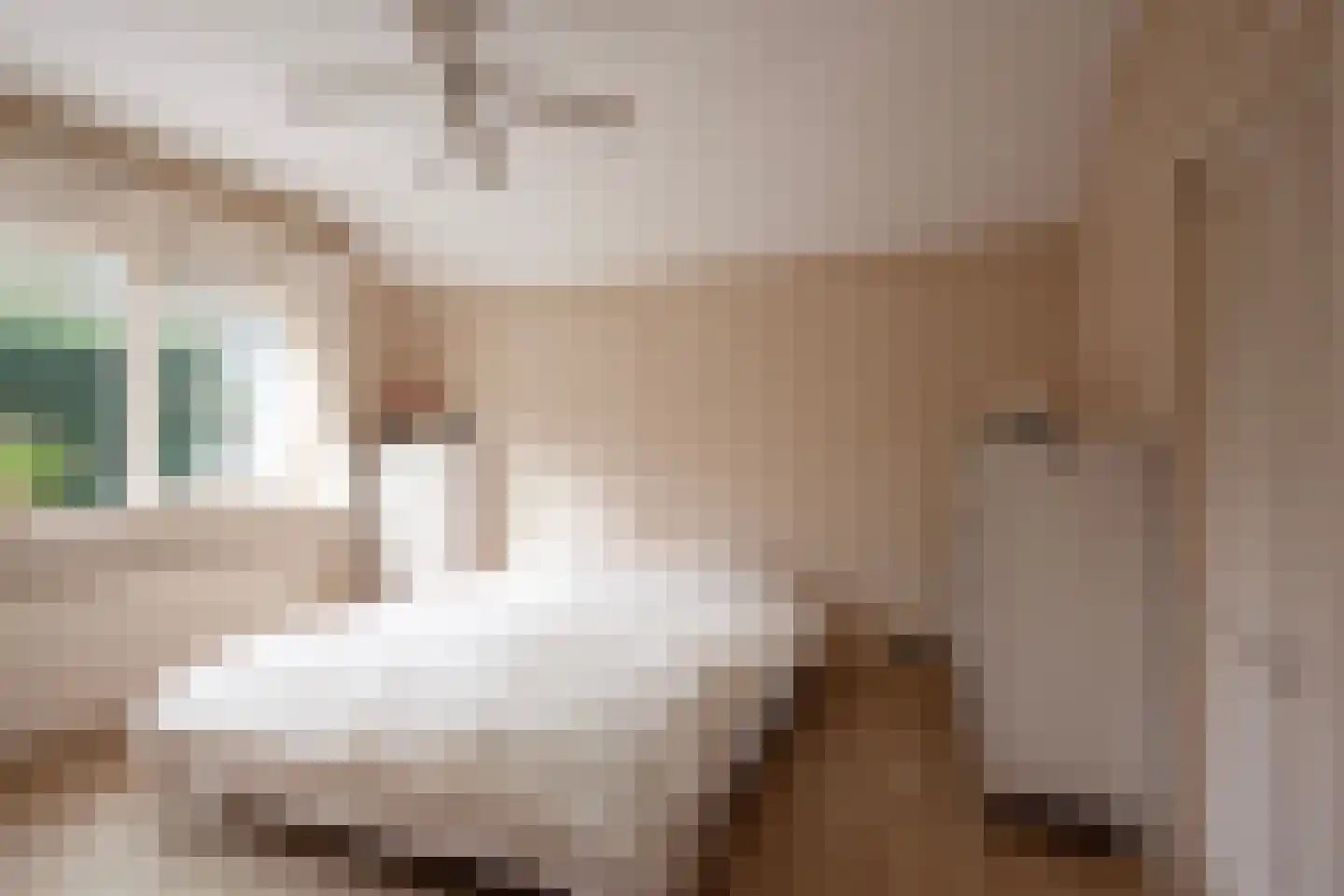 Hunnenweg 7 Voorthuizen thumbnail 9