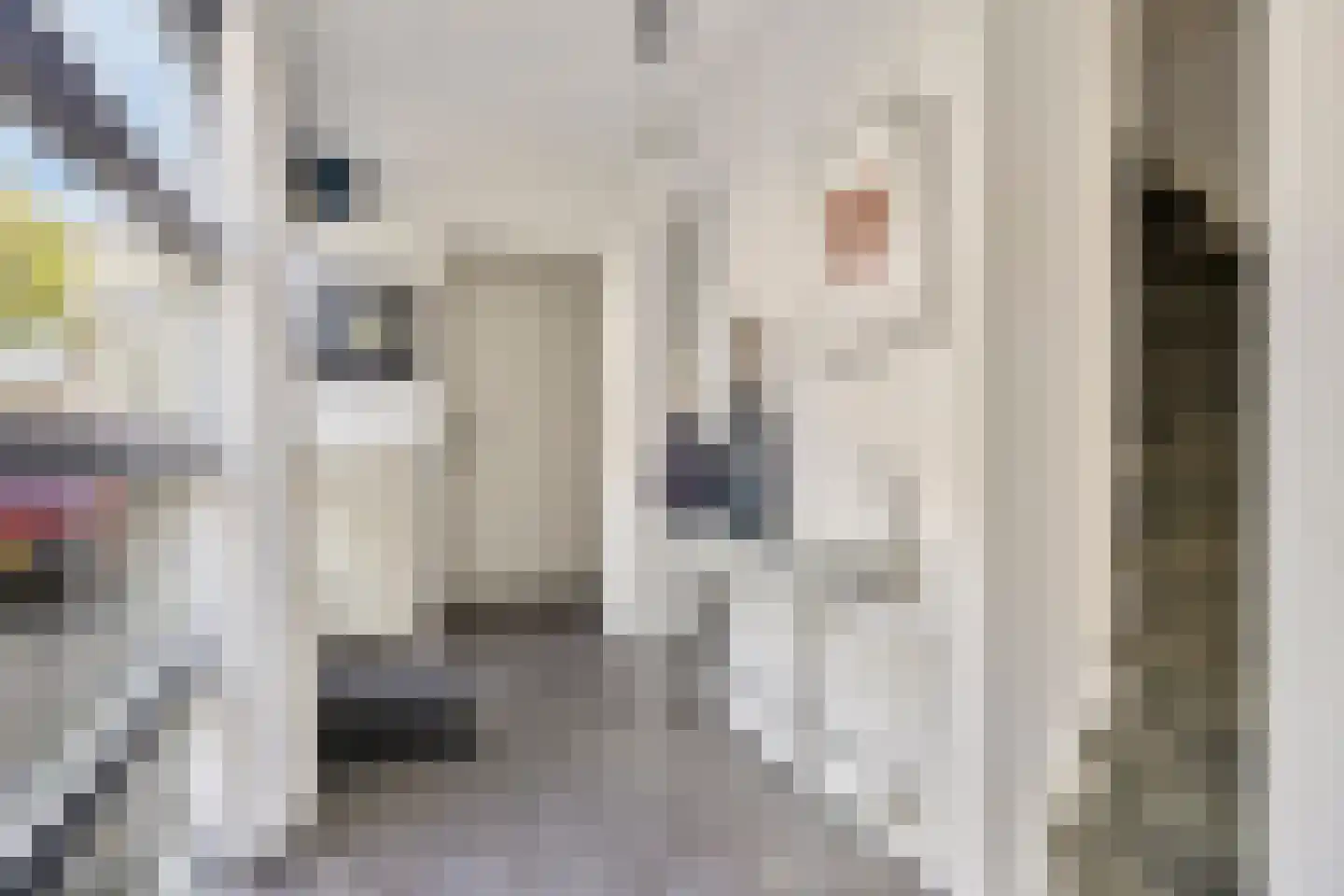 Hunneschansallee 28 Duiven thumbnail 13