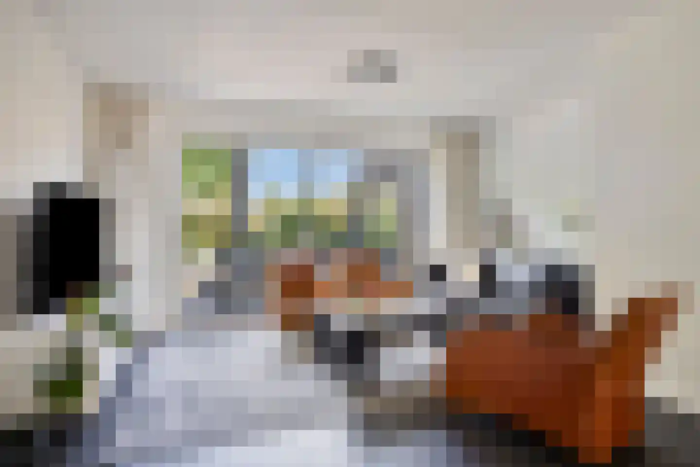Hunneschansallee 28 Duiven thumbnail 16