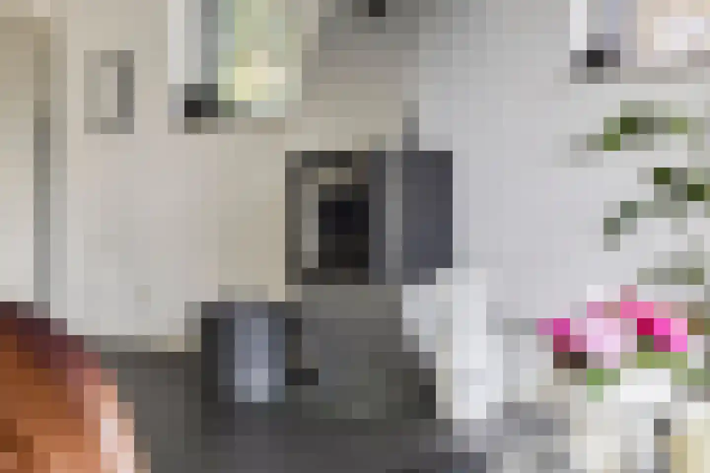Hunneschansallee 28 Duiven thumbnail 19