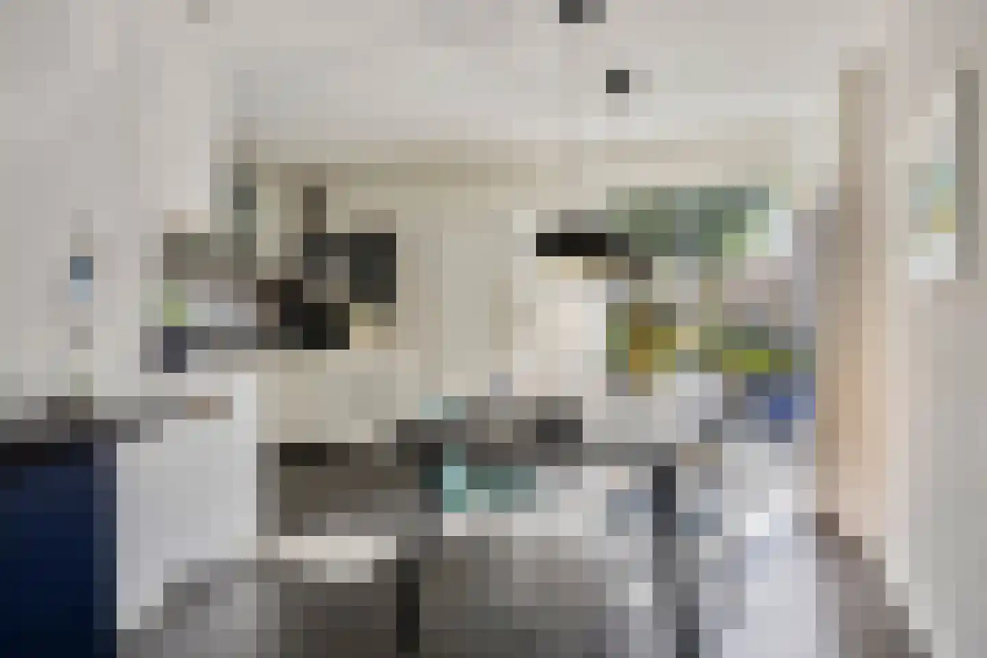 Hunneschansallee 28 Duiven thumbnail 21