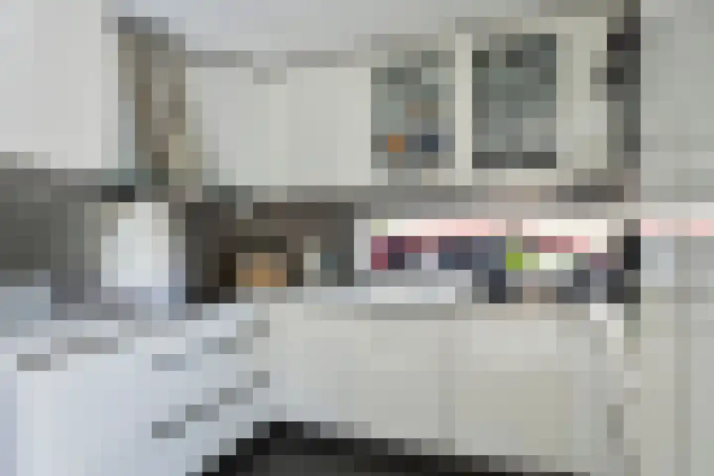 Hunneschansallee 28 Duiven thumbnail 23