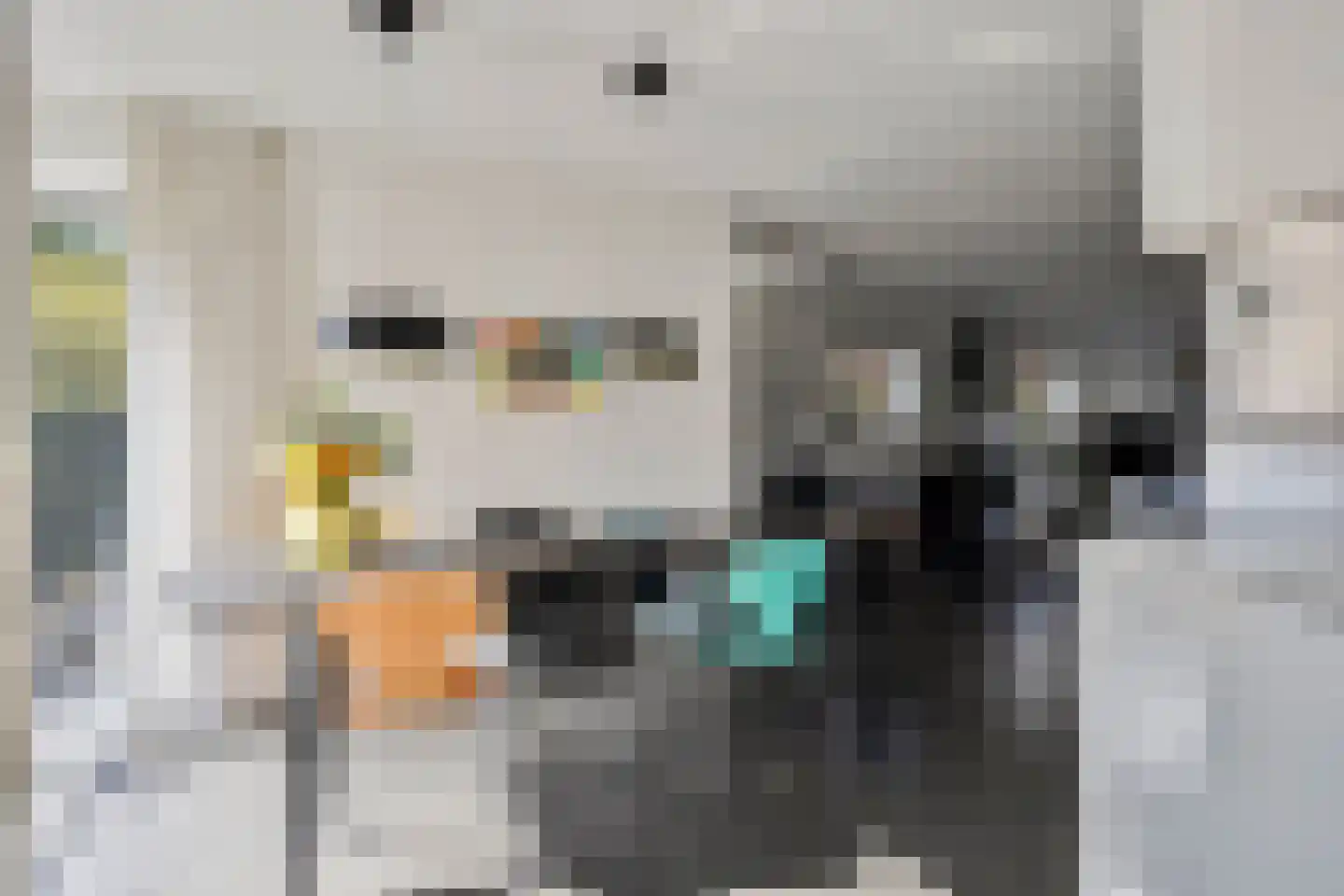 Hunneschansallee 28 Duiven thumbnail 26