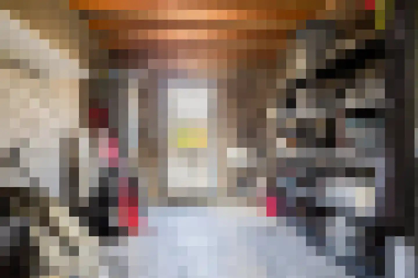 Hunneschansallee 28 Duiven thumbnail 29