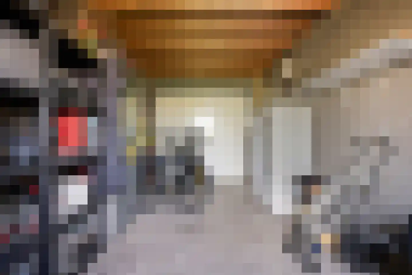 Hunneschansallee 28 Duiven thumbnail 30