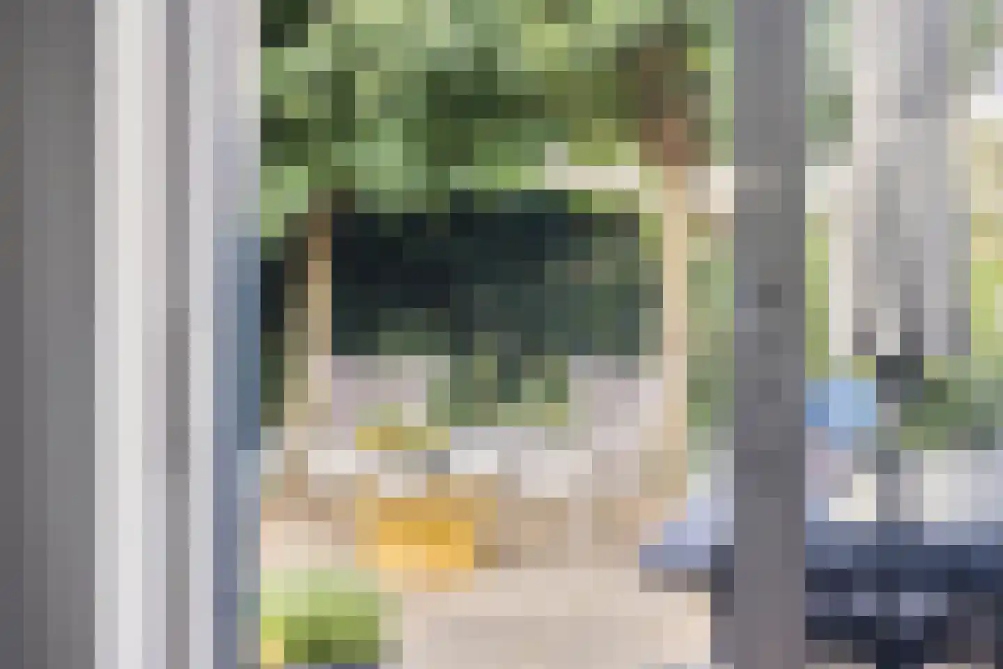 Hunneschansallee 28 Duiven thumbnail 31