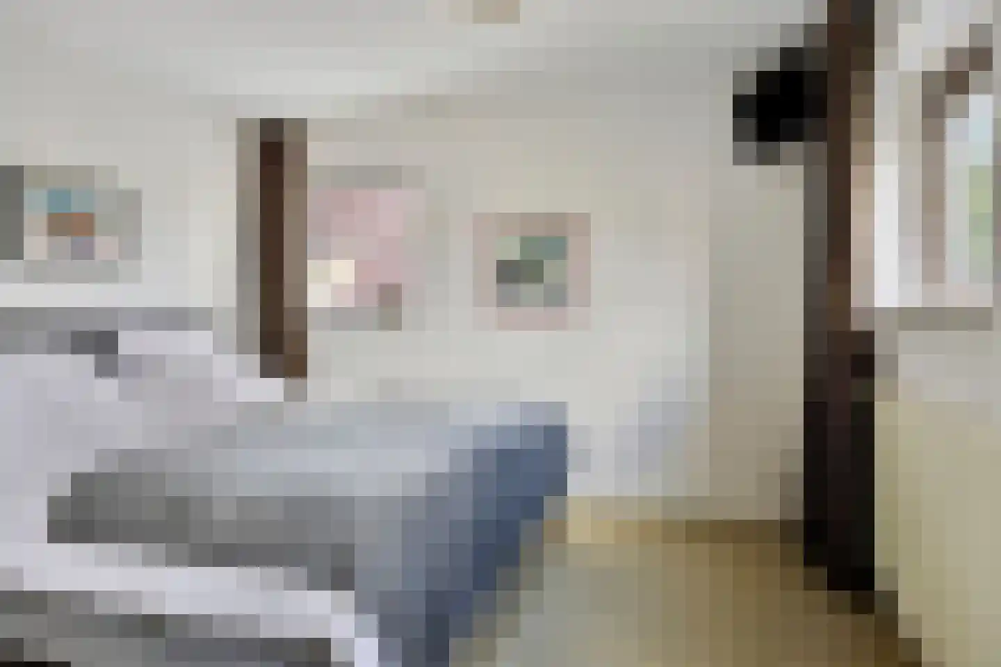 Hunneschansallee 28 Duiven thumbnail 40