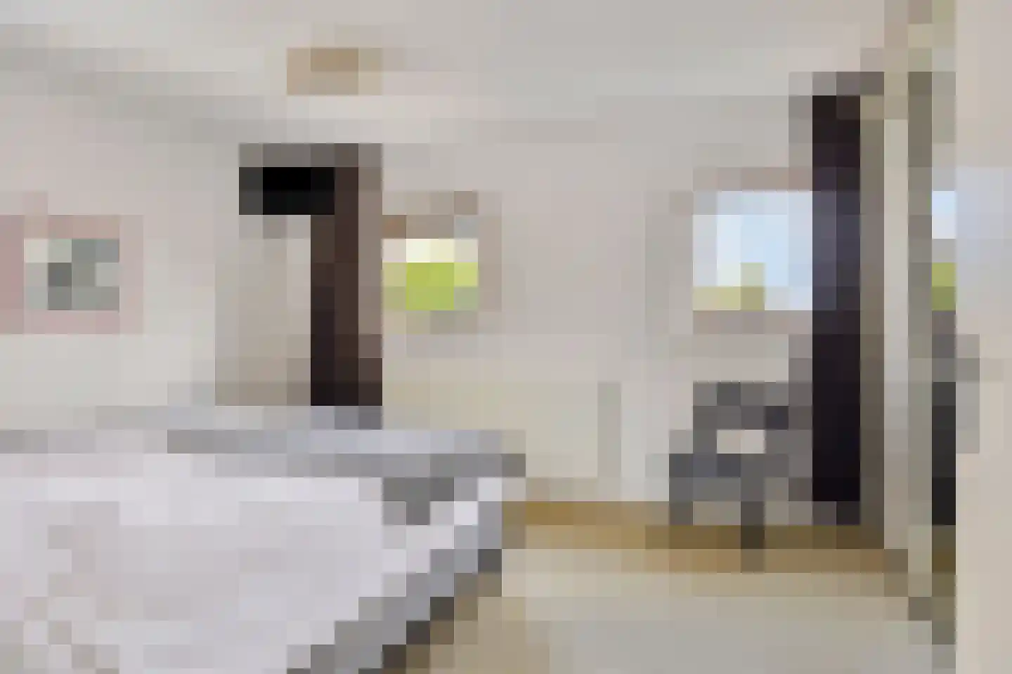 Hunneschansallee 28 Duiven thumbnail 41