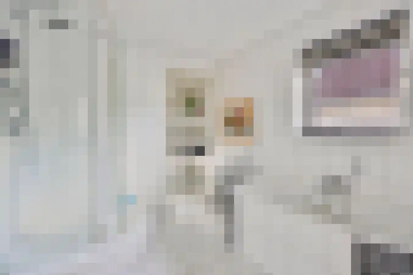 Hunneschansallee 28 Duiven thumbnail 45