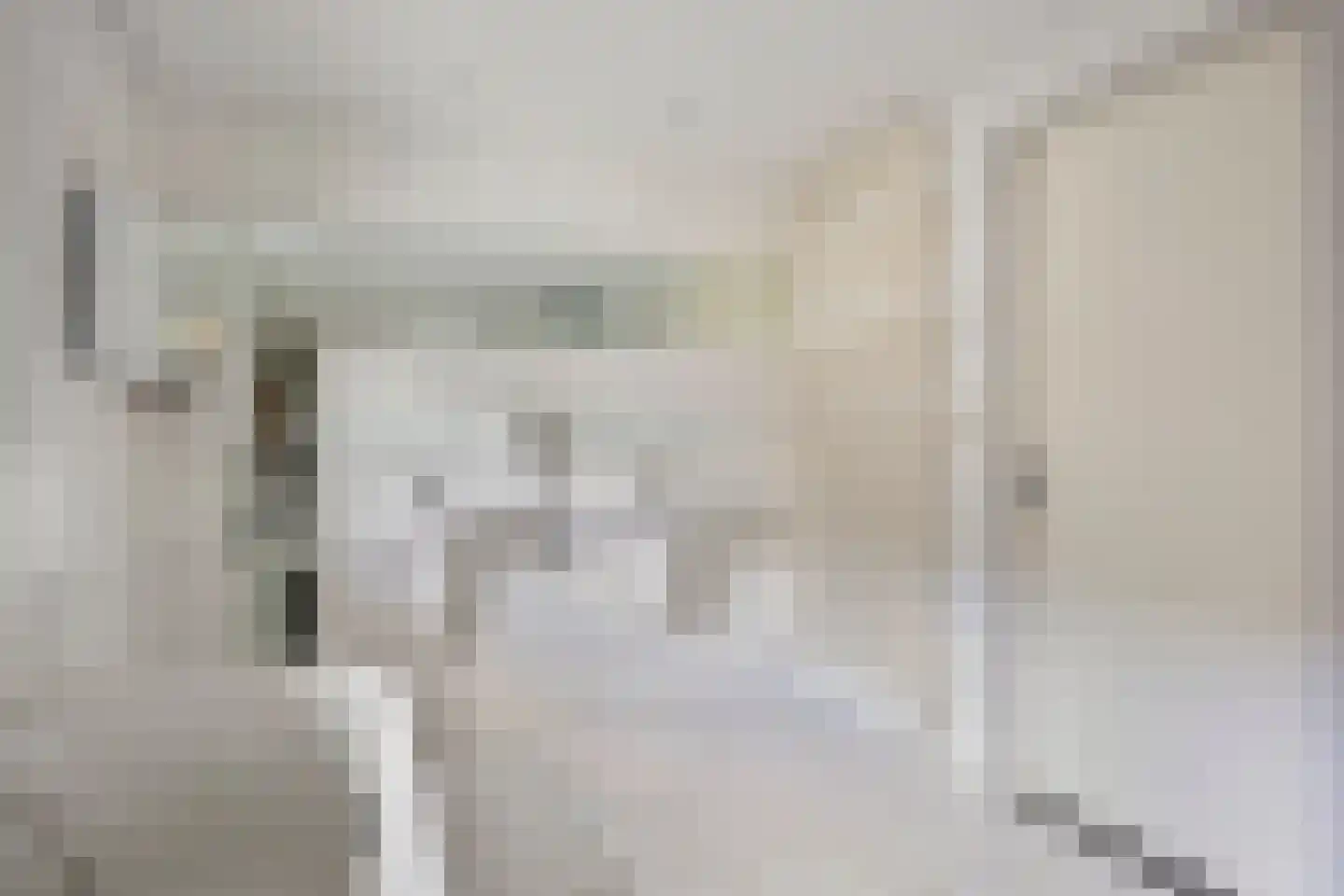 Hunneschansallee 28 Duiven thumbnail 47