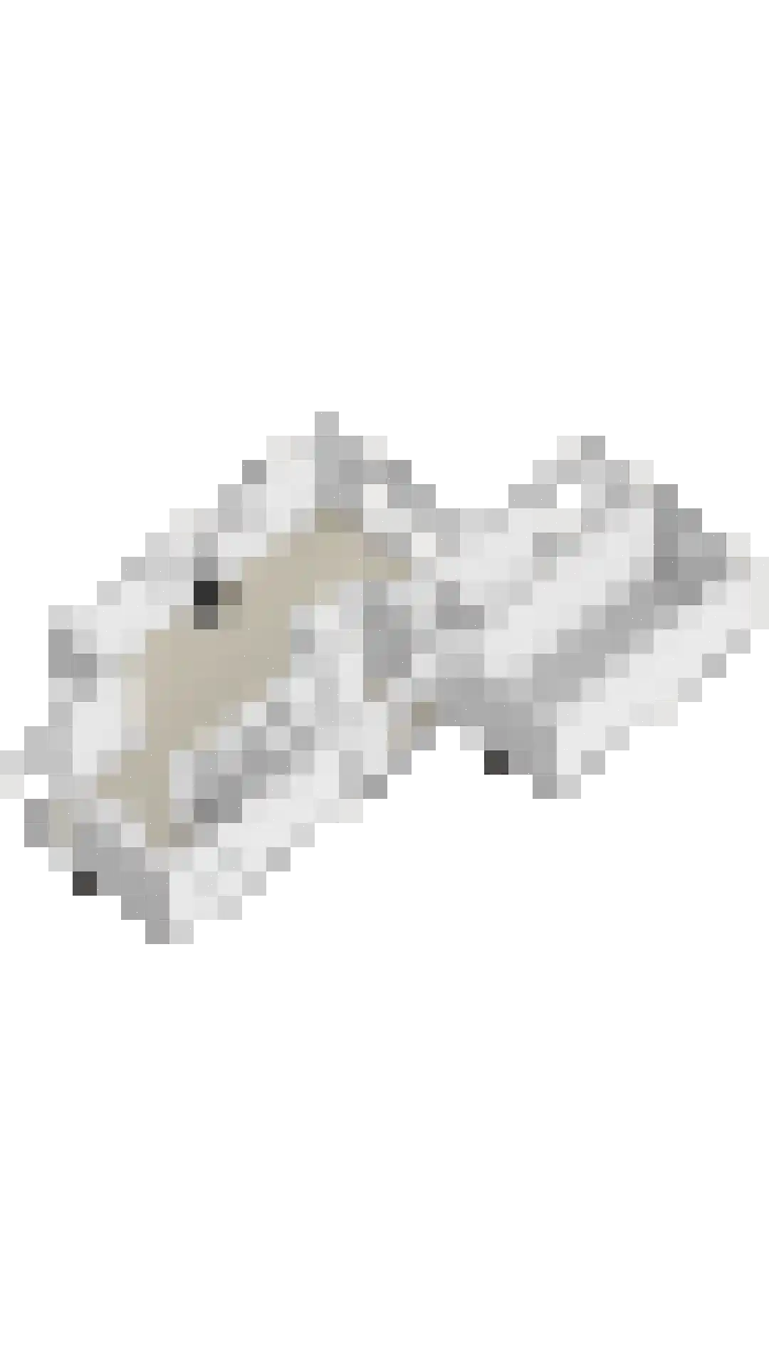 Hunneschansallee 28 Duiven thumbnail 56