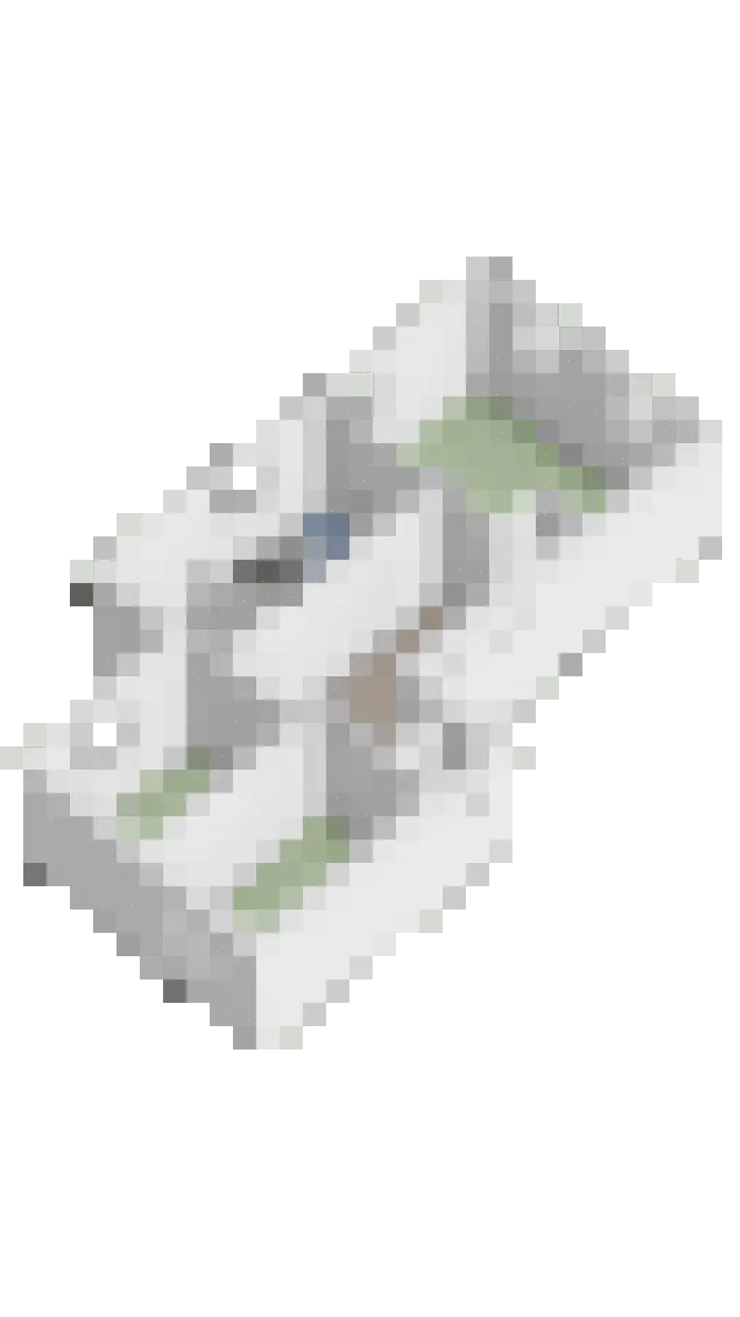 Hunneschansallee 28 Duiven thumbnail 58