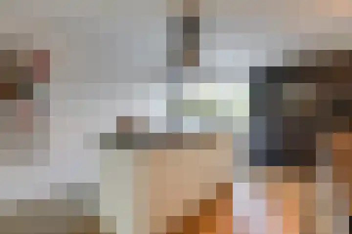 Hunneschansallee 36 Duiven thumbnail 18