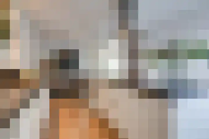 Hunneschansallee 36 Duiven thumbnail 19
