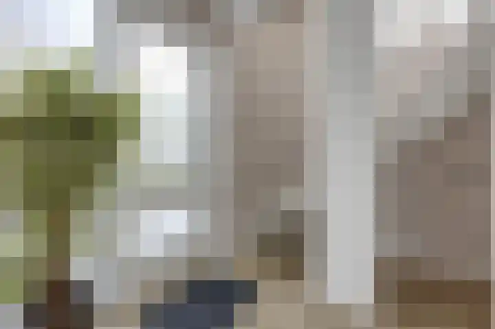 Hunneschansallee 36 Duiven thumbnail 22
